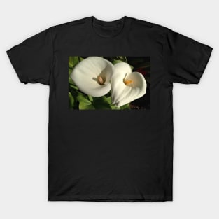 Perfectly Pure and Majestic Easter Calla Lily T-Shirt